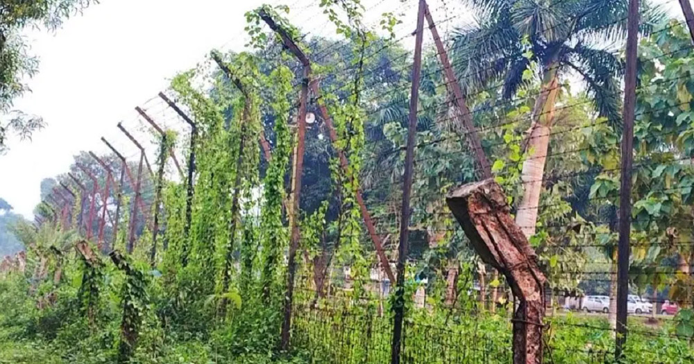 ব্রাহ্মণবাড়িয়ায় বিএসএফের গুলিতে ২ জন আহত