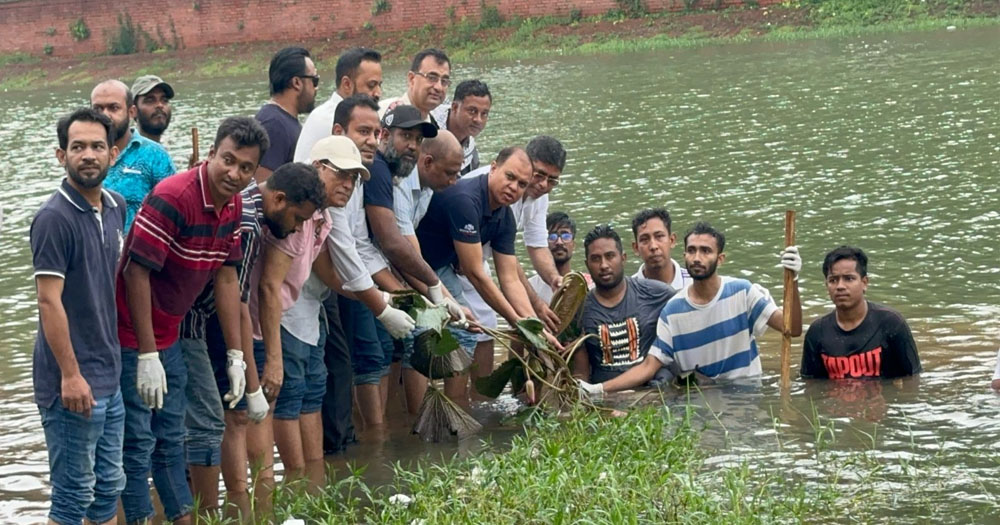 জিয়া উদ্যানের লেকে শাপলা ফুল রোপণ করলো ‘আমরা বিএনপি পরিবার’