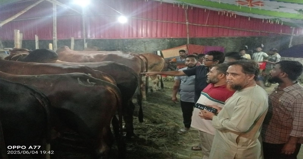 রাজধানীর পশুর হাটে ক্রেতা-দর্শনার্থীদের ভিড় বেড়েছে