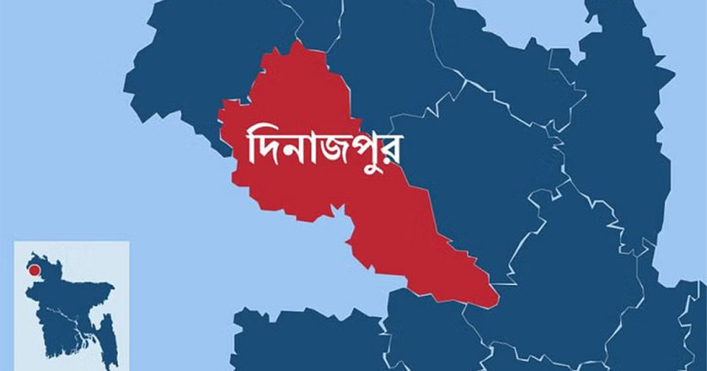 দিনাজপুর ও ঠাকুরগাঁও সীমান্ত দিয়ে ২০ জনকে পুশইন