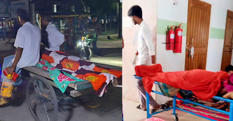 বরগুনায় ডেঙ্গুতে ২ মৃত্যু, হাসপাতালে ১৭২