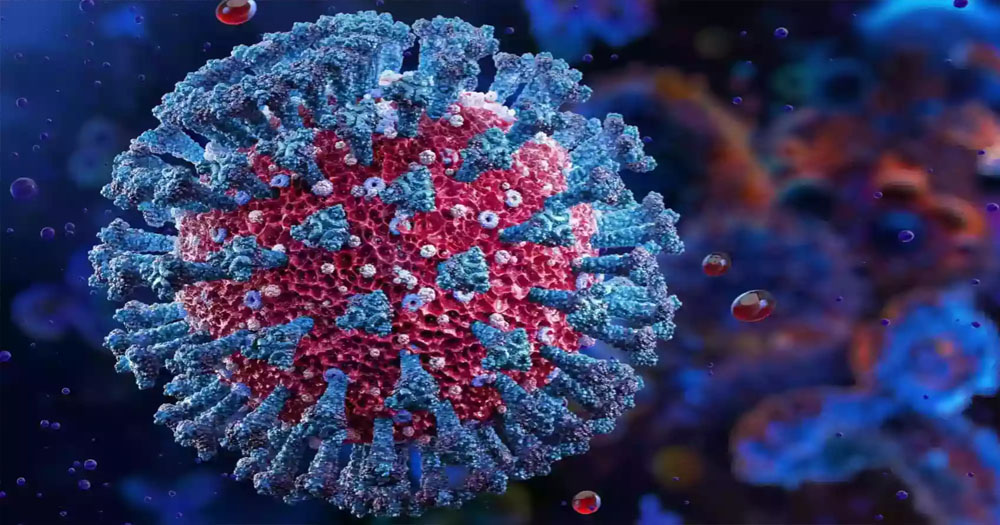 দেশে ২৪ ঘণ্টায় করোনা আক্রান্ত আরও ১৫জন