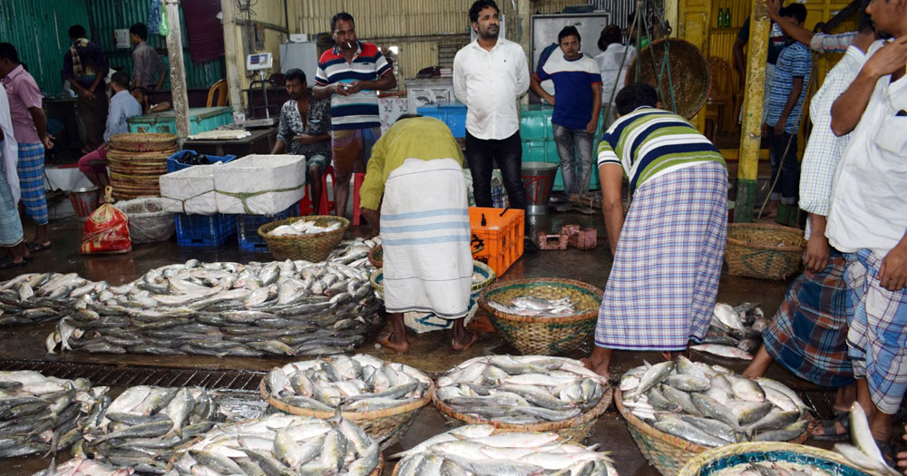 ইলিশ সিন্ডিকেটে ব্যবসায়ীরা, মূল্য নির্ধারণ চায় প্রশাসন