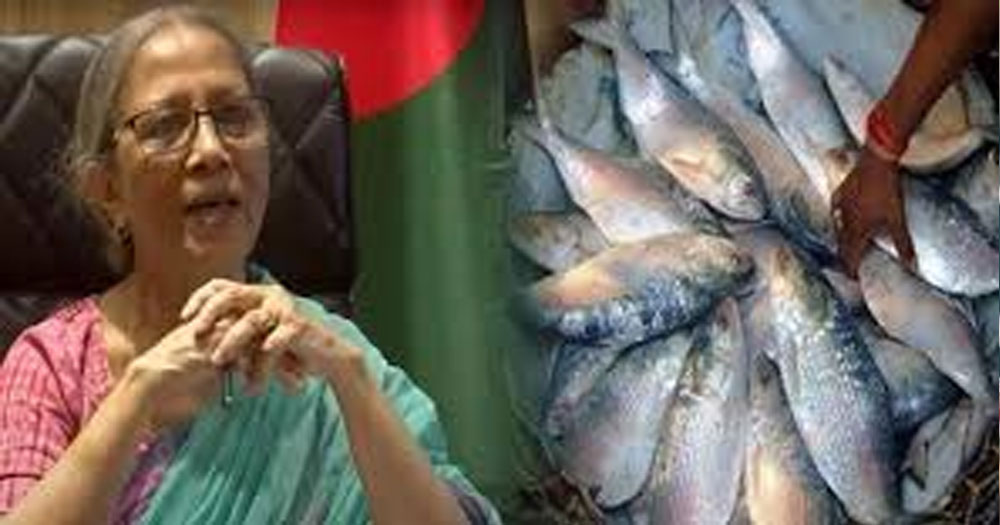 ইলিশ রক্ষা আমাদের সবার জাতীয় কর্তব্য: মৎস্য উপদেষ্টা