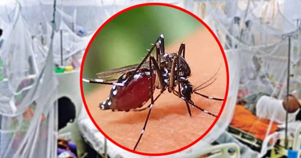চলতি বছরে একদিনে ডেঙ্গুতে রেকর্ডসংখ্যক রোগী হাসপাতালে, মৃত্যু ১ জনের