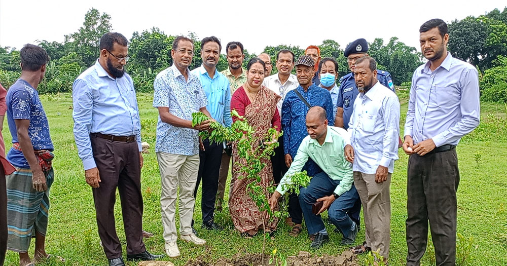 শ্রীপুরে বিশ্ব পরিবেশ দিবস পালিত