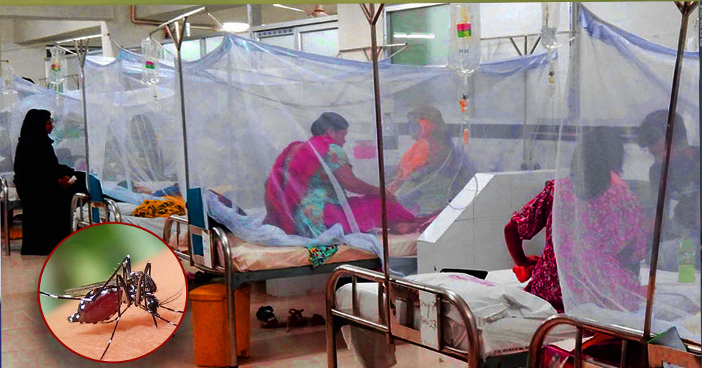ডেঙ্গুতে আরও ২ জনের মৃত্যু, হাসপাতালে ভর্তি ১৯৫