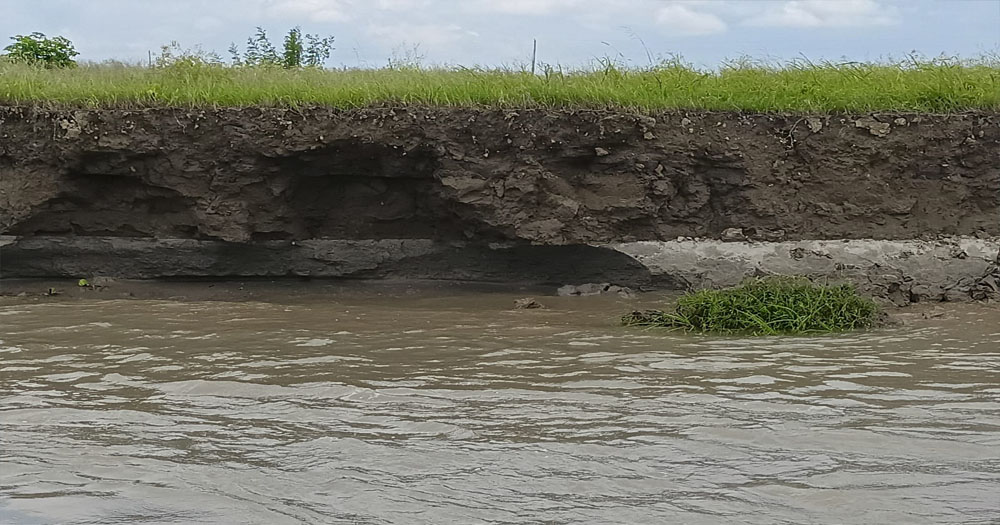 ফরিদপুরে পদ্মার ভাঙনে আতঙ্কে হাজারো পরিবার