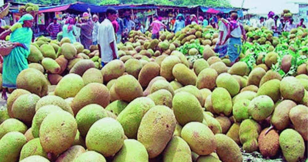 জিআই স্বীকৃতি পেল গাজীপুরের কাঁঠাল