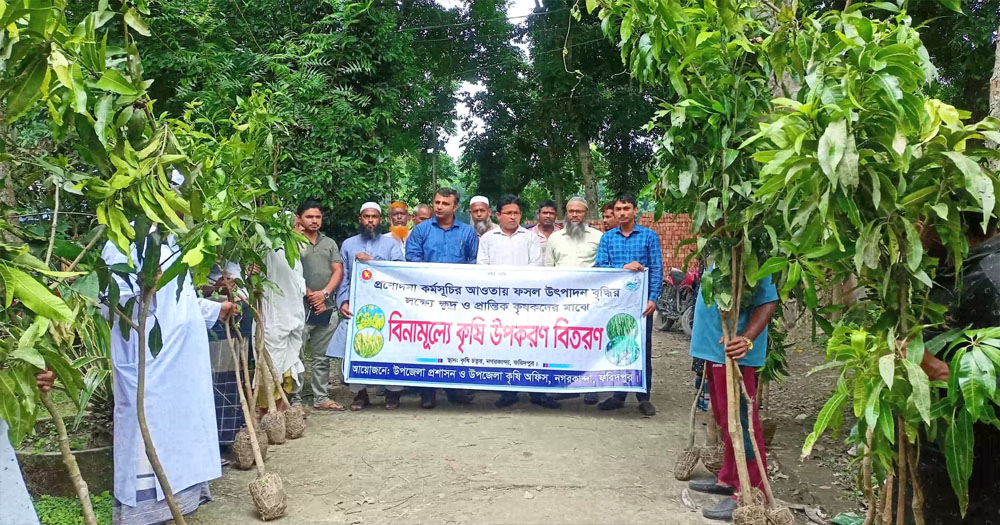 নগরকান্দায় বারি আম-৪ জাতের চারা বিতরণ করা হয়েছে।