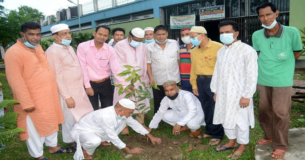 তারেক রহমানের আহ্বানে বগুড়ায় সাংবাদিকদের বৃক্ষরোপণ কর্মসূচি