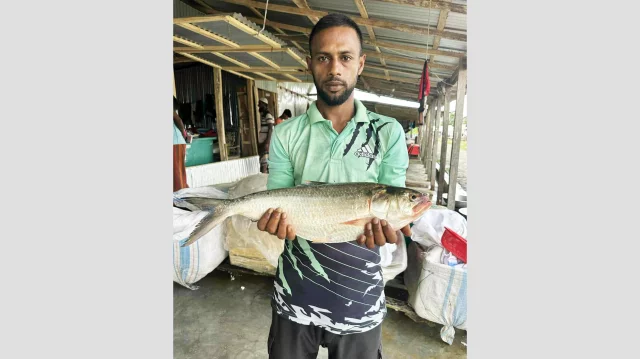 দুই কেজির এক ইলিশ ৭ হাজার ৭০০ টাকায় বিক্রি