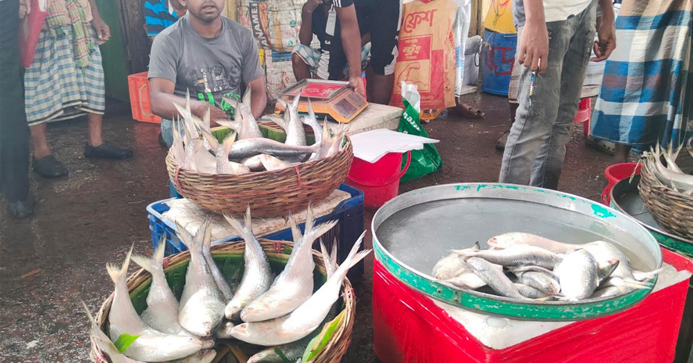 ইলিশের দাম ২৮০০ টাকা কেজি