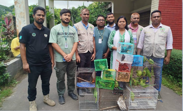 রাজধানীর মিরপুরে ৫০টি দেশীয় বন্যপ্রাণী উদ্ধার