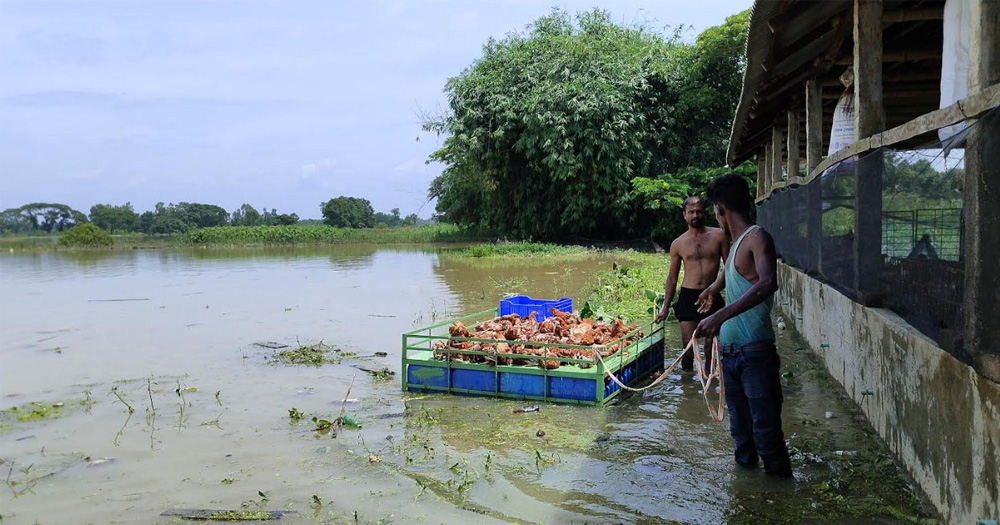 ফেনীতে বন্যা নিয়ন্ত্রণ বাঁধের ৩৬ স্থানে ভাঙন