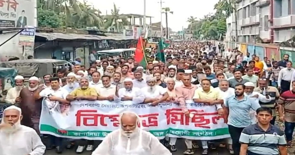 দেশব্যাপী নৈরাজ্যের প্রতিবাদে কাপাসিয়ায় বিএনপির বিক্ষোভ