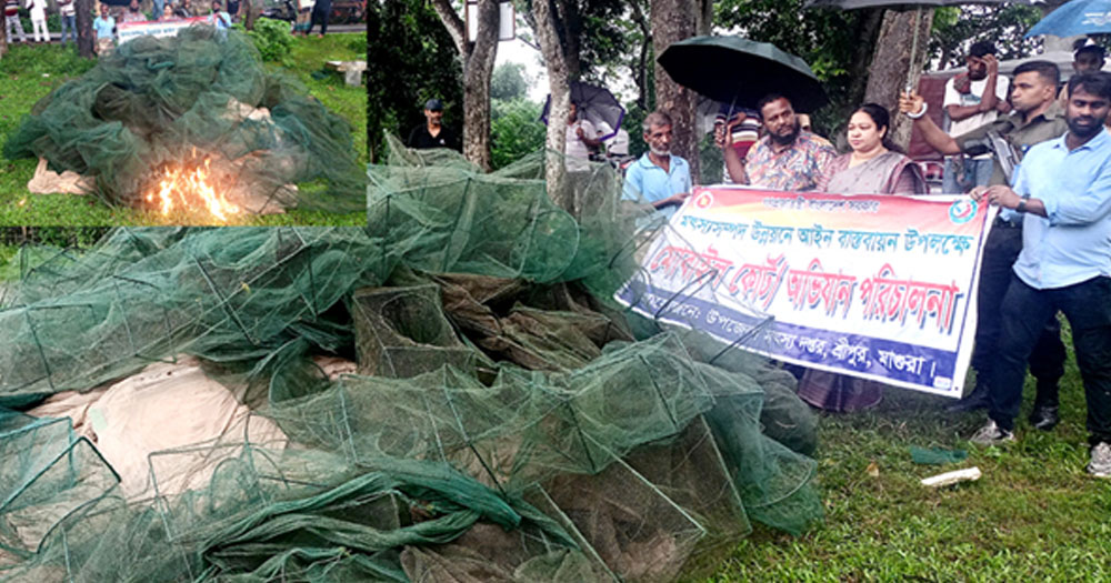 শ্রীপুরে বিপুল পরিমান চায়না জাল জব্দ, আগুনে পুড়িয়ে ধ্বংস