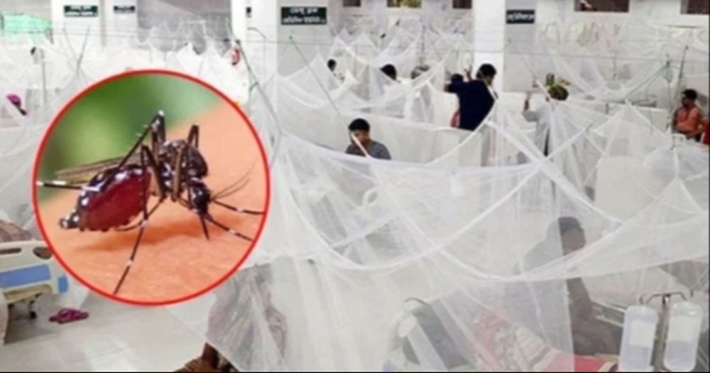 ডেঙ্গুতে আরও ৩৭৫ হাসপাতালে ভর্তি