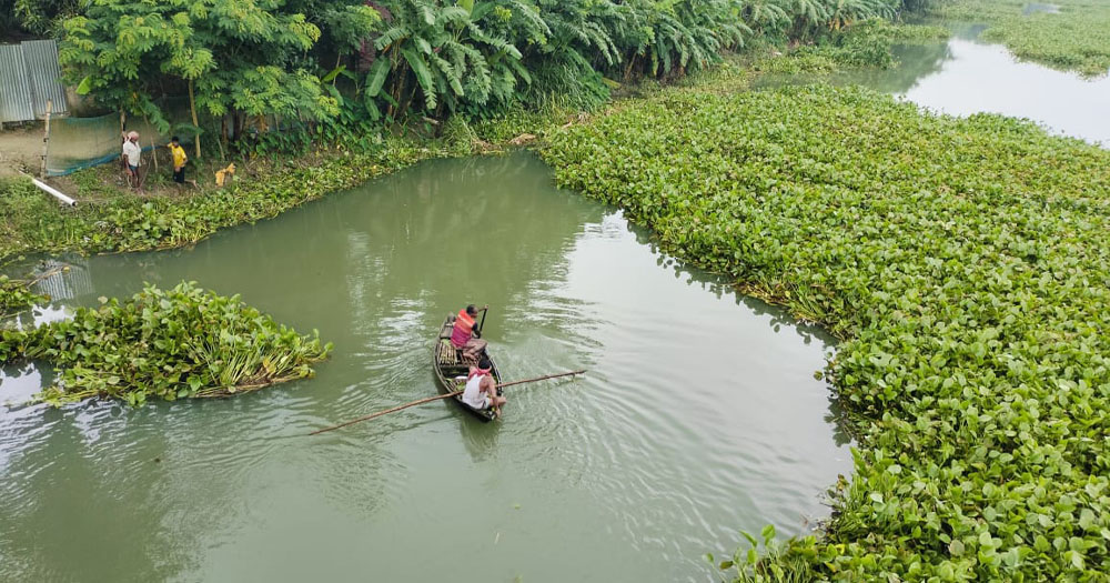 ভাঙ্গায় কুমার নদের চার কিলোমিটার কচুরিপানা পরিষ্কারে ছাত্রদল