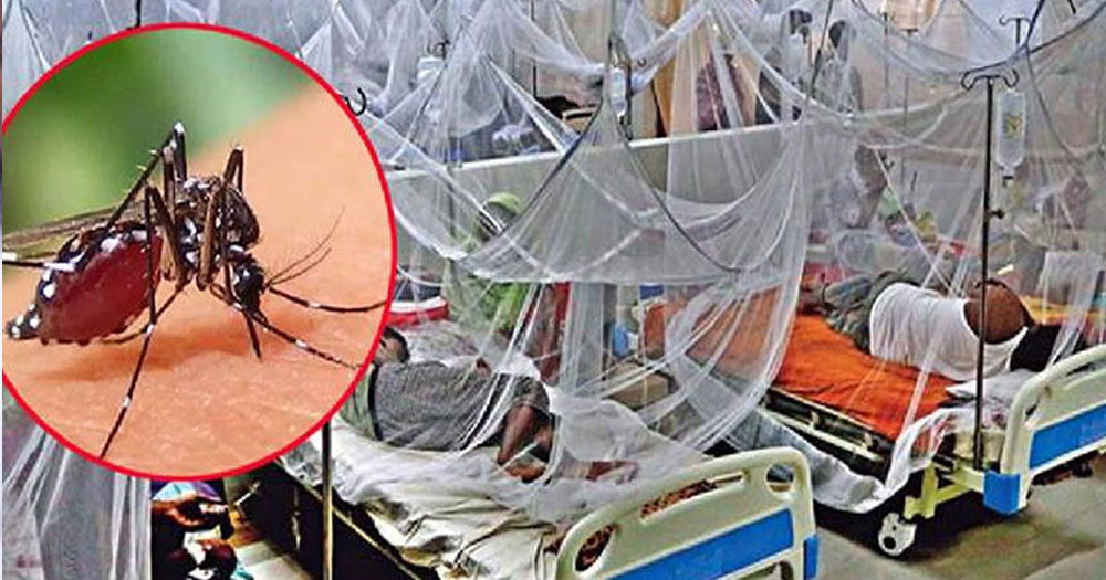 ডেঙ্গুতে আরও একজনের মৃত্যু, হাসপাতালে ভর্তি ৩৯৪
