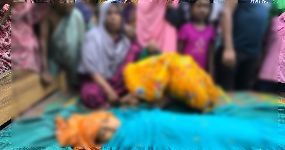 পাখি ভ্যানের ধাক্কায় শিশুর মৃত্যু