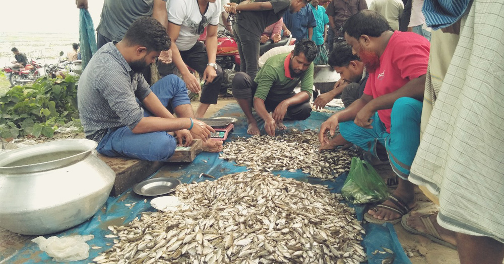 ৯১ প্রজাতির দেশীয় মাছ বিলুপ্তির পথে, সংকটে জেলে পেশা