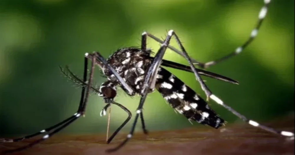 ২৪ ঘণ্টায় ডেঙ্গুতে ৪ জনের মৃত্যু