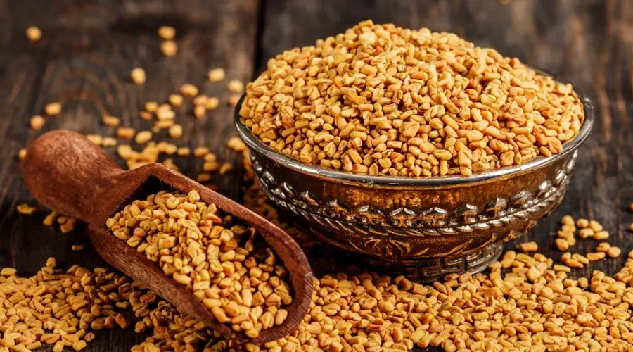 প্রতিদিন সকালে মেথি খেলে মিলবে যেসব উপকার