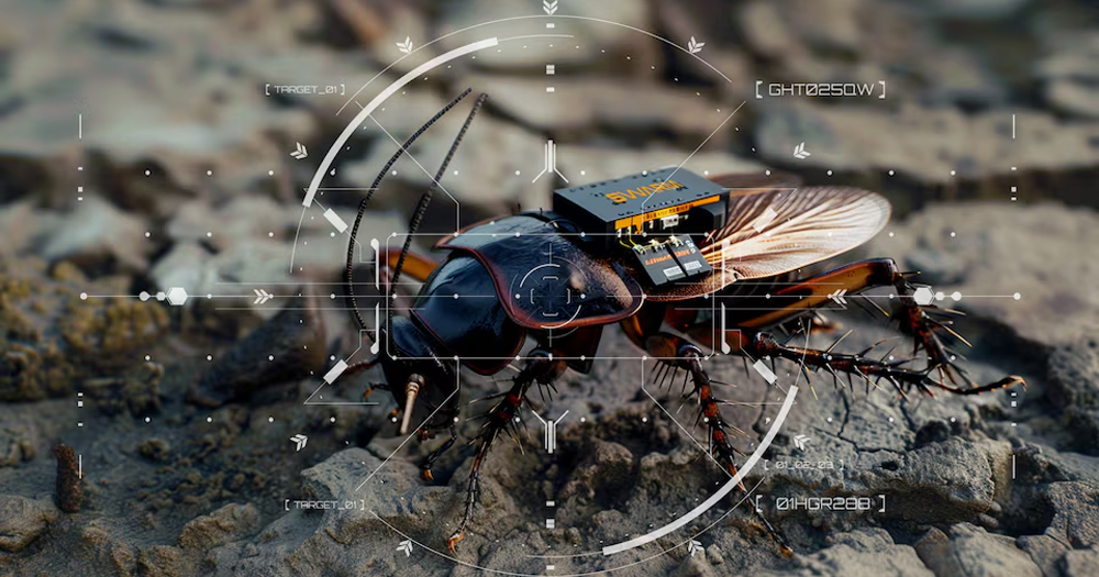 আধুনিক যুদ্ধের নতুন হাতিয়ার ‘সাইবার তেলাপোকা’