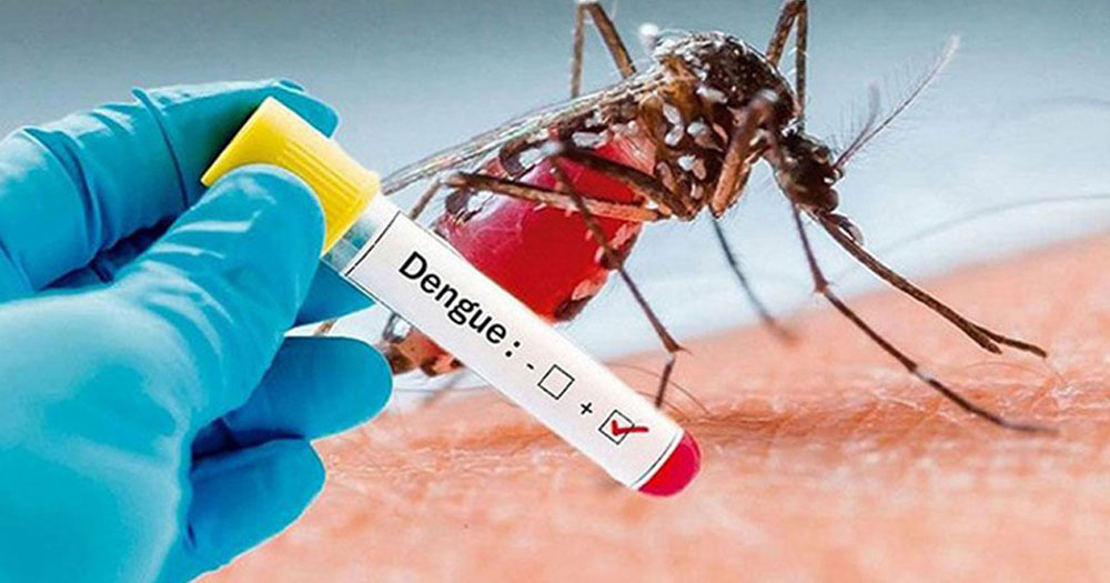 ডেঙ্গুতে আরও একজনের মৃত্যু, হাসপাতালে ২৮০