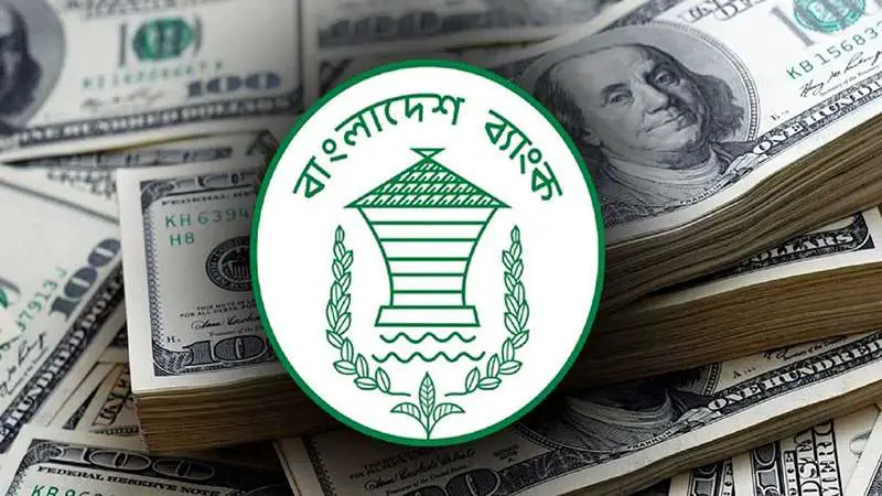 রিজার্ভ বেড়ে ৩০ বিলিয়ন ডলারের ঘরে