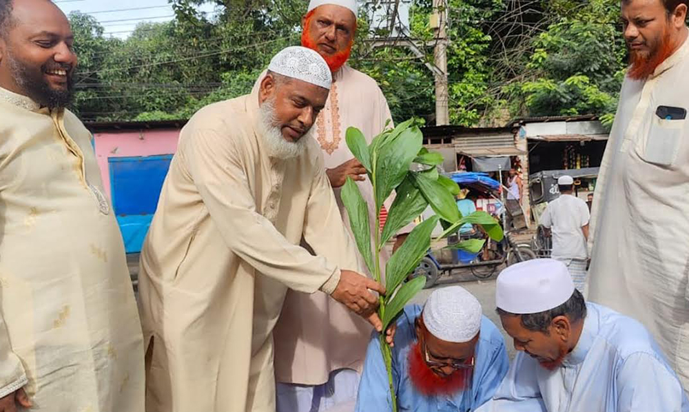 বগুড়ায় যুব জামায়াতের বৃক্ষ রোপন কর্মসুচী পালিত