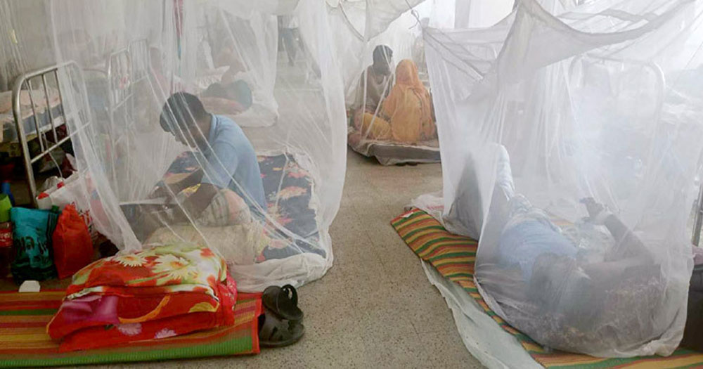 ডেঙ্গুতে আরও ৩ জনের মৃত্যু, হাসপাতালে ৩৩১