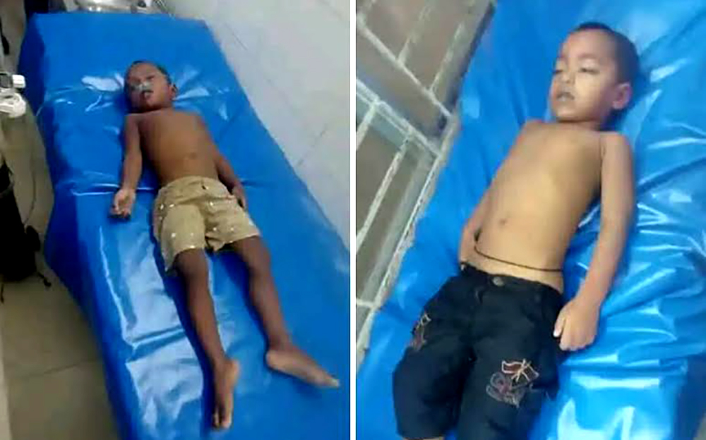 নোয়াখালীর কোম্পানীগঞ্জে পুকুরে  ডুবে আপন দুই চাচাতো ভাইয়ের মৃত্যু