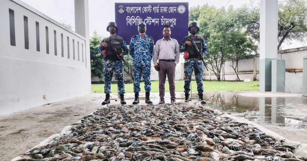 চাঁদপুরে ৩৯০ কেজি জেলিযুক্ত চিংড়ি জব্দ