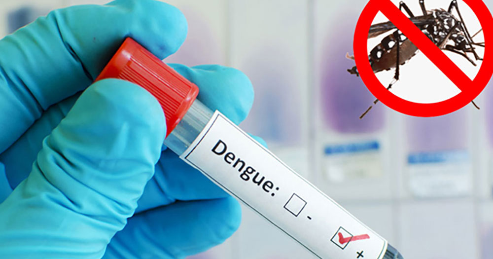 ডেঙ্গুতে আরও দুইজনের মৃত্যু, হাসপাতালে ৩৮৬