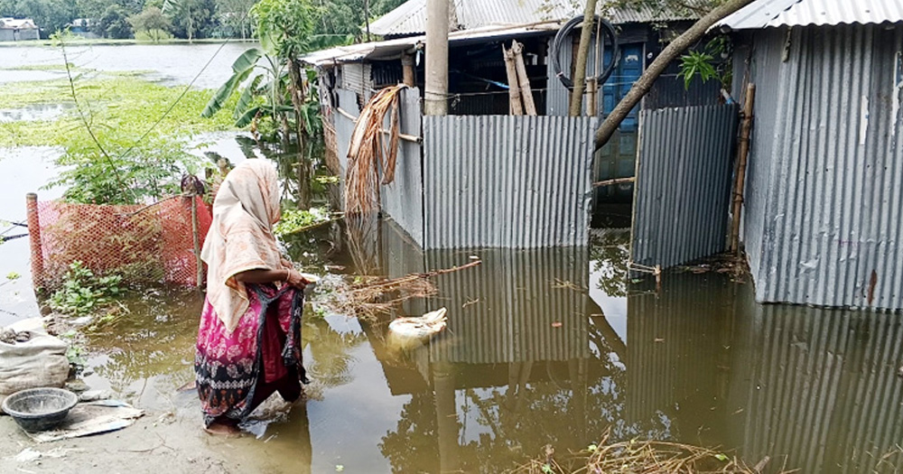 তিস্তার পানি কমছে, স্বাভাবিক জীবনে ফিরছে প্লাবিত মানুষ