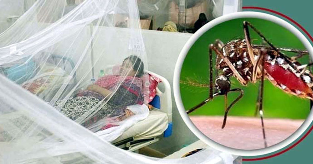ডেঙ্গুতে হাসপাতালে ভর্তি রোগী ২১ হাজার ছাড়াল