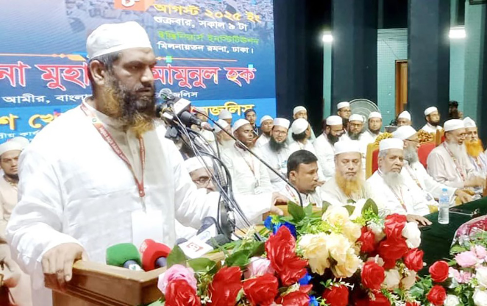 অন্তর্বর্তী সরকার প্রকৃত সংস্কার করতে ব্যর্থ হয়েছে : মামুনুল হক