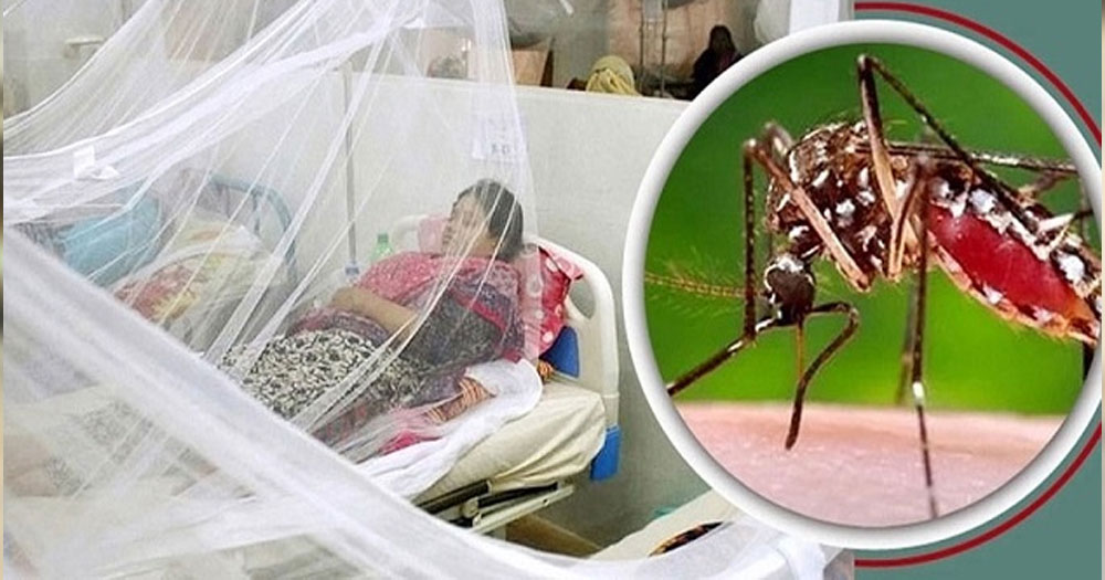 ডেঙ্গুতে প্রাণ গেলো আরও ৩ জনের