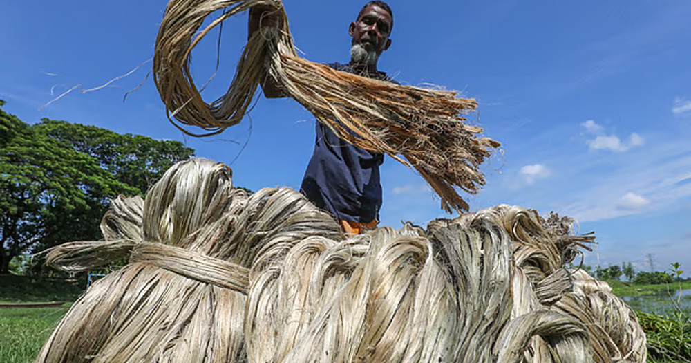 বাংলাদেশের পাটপণ্য রপ্তানিতে নতুন বিধিনিষেধ ভারতের