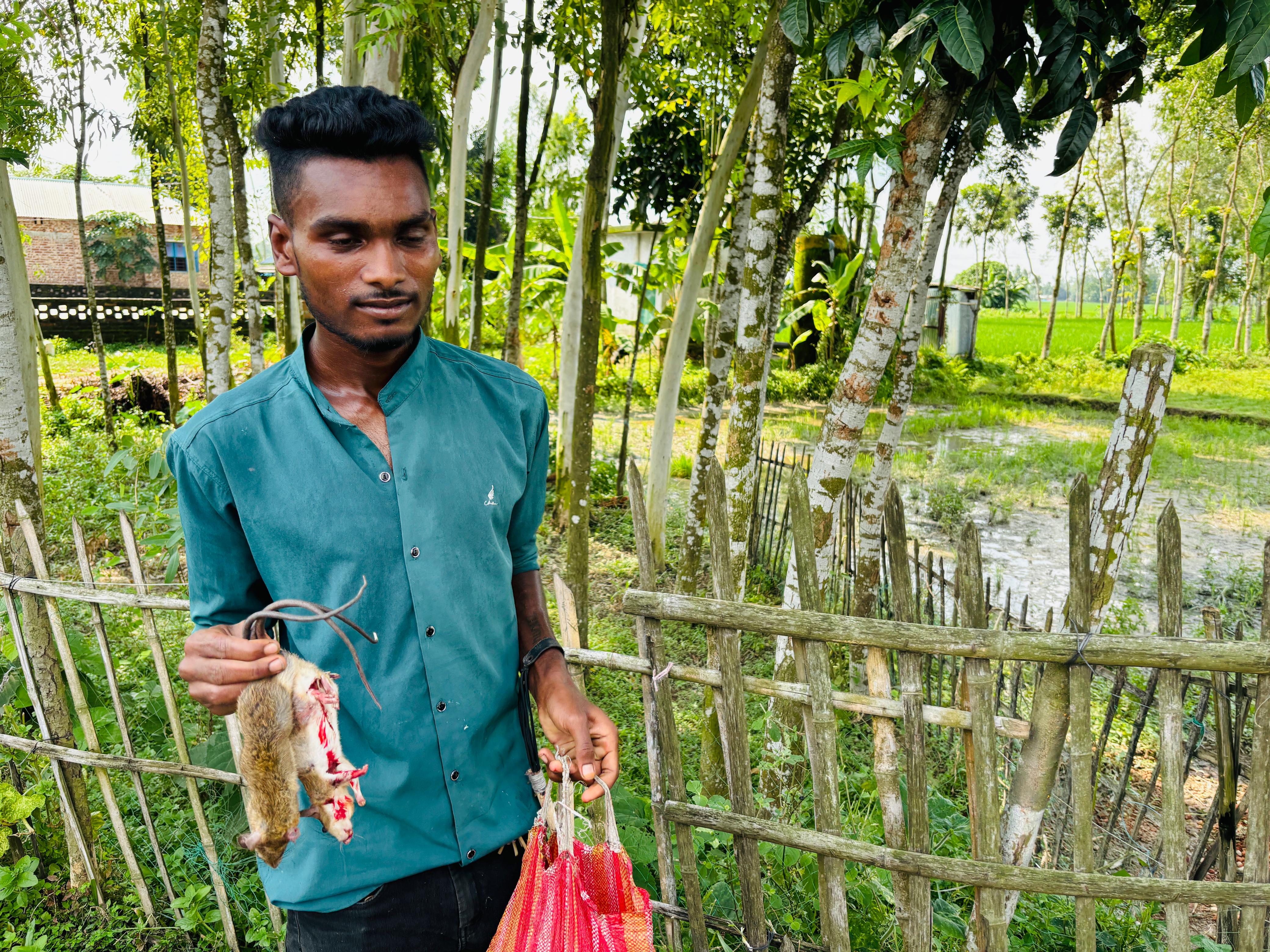ইঁদুর–সাপ খেয়েই চলে যাদের জীবন