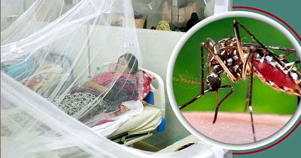 ২৪ ঘণ্টায় ডেঙ্গুতে আরও ৪ জনের মৃত্যু, হাসপাতালে ভর্তি ২৪৭