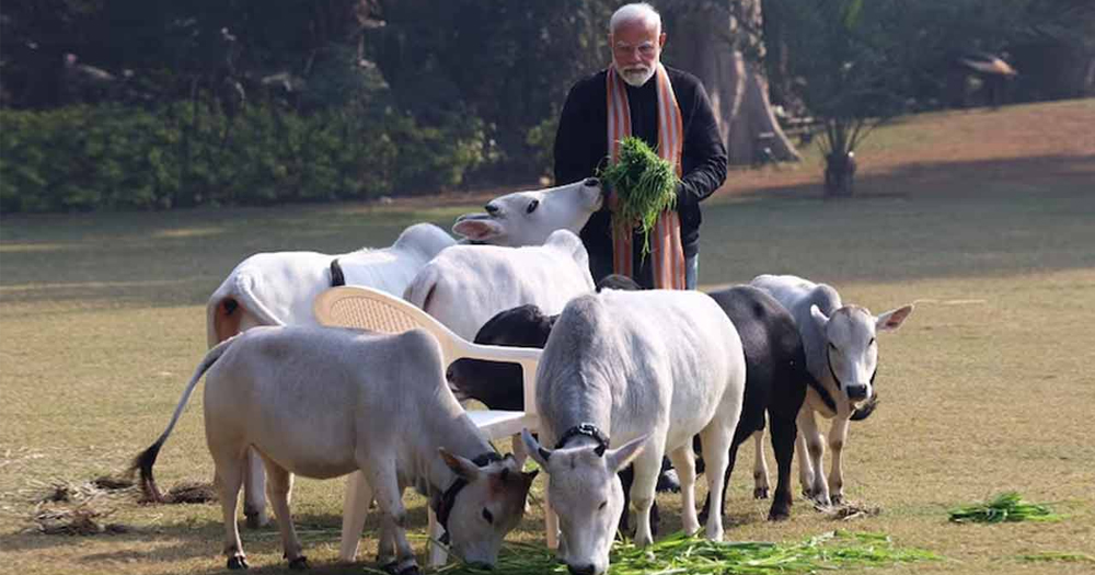 মোদির আমলে ফুলেফেঁপে উঠেছে ভারতের গো-মাংস শিল্প, রেকর্ড পরিমাণে রপ্তানি