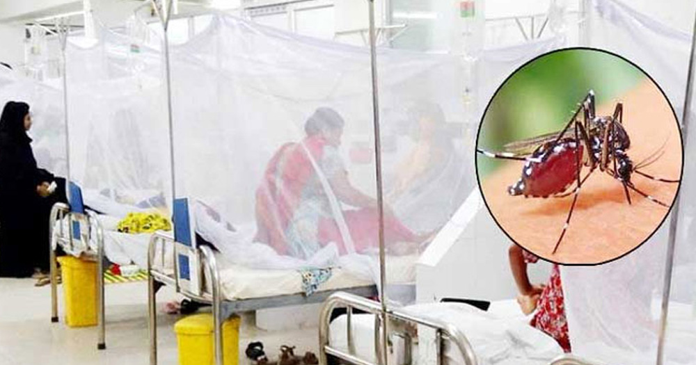 ডেঙ্গুতে আরও ৬ জনের মৃত্যু