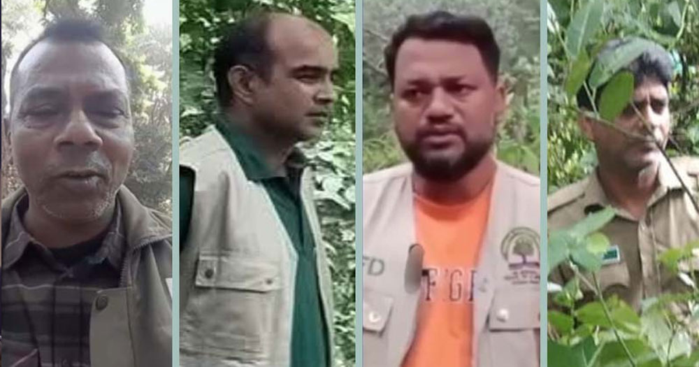 জাতীয় উদ্যানের গাছ চুরির অভিযোগে বন বিভাগের ৪ কর্মকর্তার বিরুদ্ধে মামলা