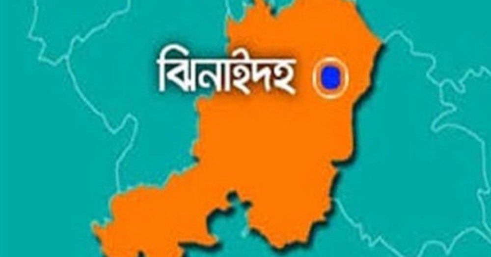 ঝিনাইদহে মাজরা পোকার আক্রমণে কৃষকেরা দিশেহারা