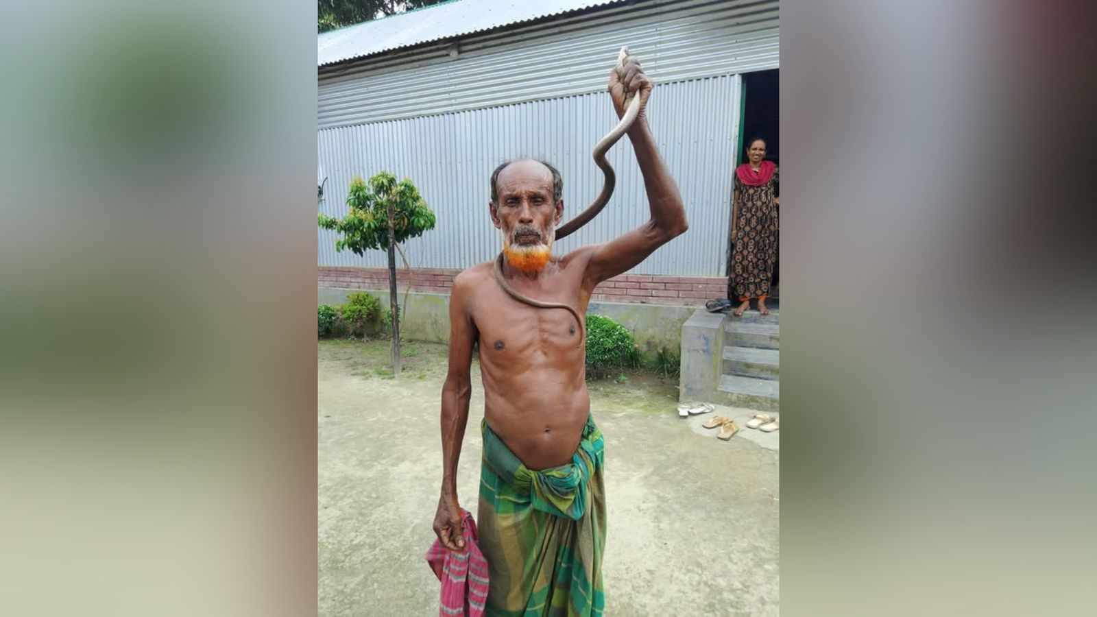শেরপুরে সাপের কামড়ে ওঝার মৃত্যু!