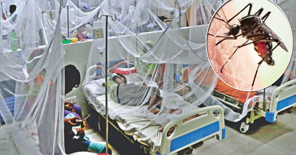 ডেঙ্গুতে আরও ২ জনের মৃত্যু, শনাক্ত ২৭৯