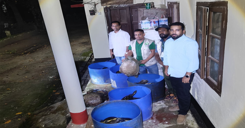নোয়াখালীতে ৪২৫ কচ্ছপ উদ্ধার